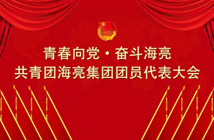 青春向党 · 奋斗公海赌赌船丨共青团公海赌赌船集团有限公司团员代表大会召开
